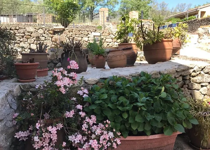 Hospedium Rural Abadia De Yuste Отель Куакос-де-Юсте